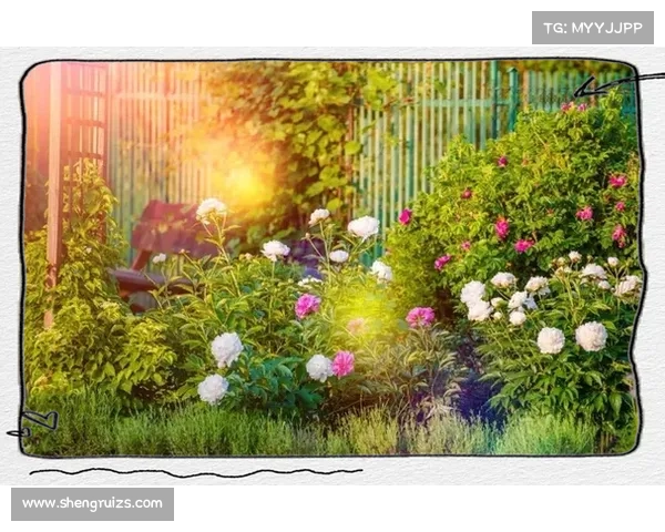 静谧庭院打造心灵栖息地提升生活品质的五个关键要素 静谧庭院打造心灵栖息地提升生活品质的五个关键要素