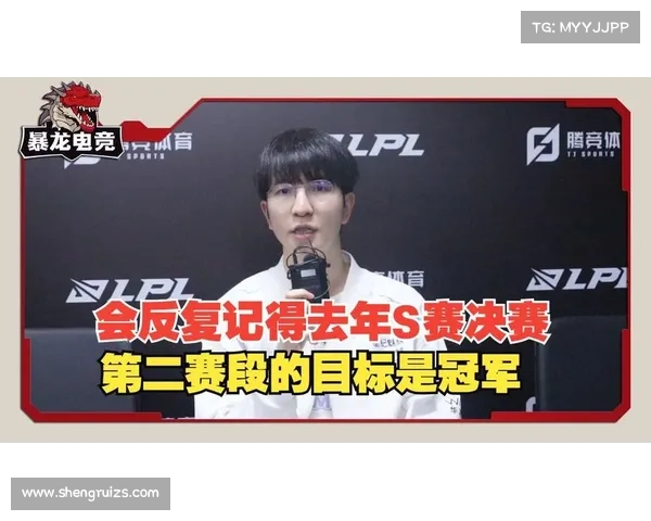 S赛冠军回顾 电竞荣耀背后的奋斗与坚持