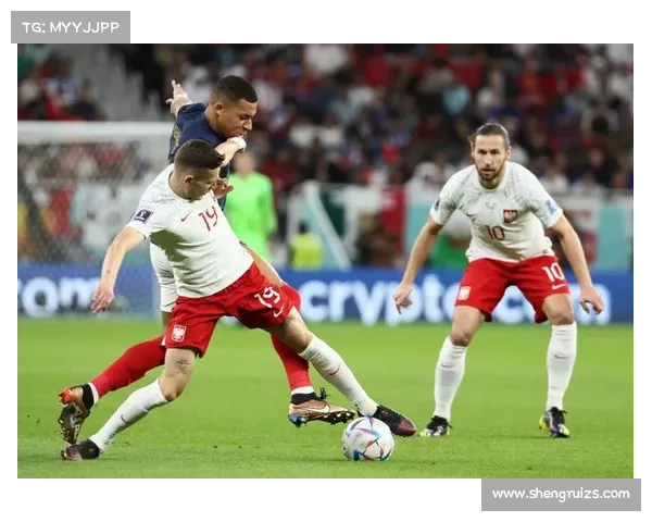 全面解读2023法国对阵波兰精彩赛事全方位深度分析权威指南篇