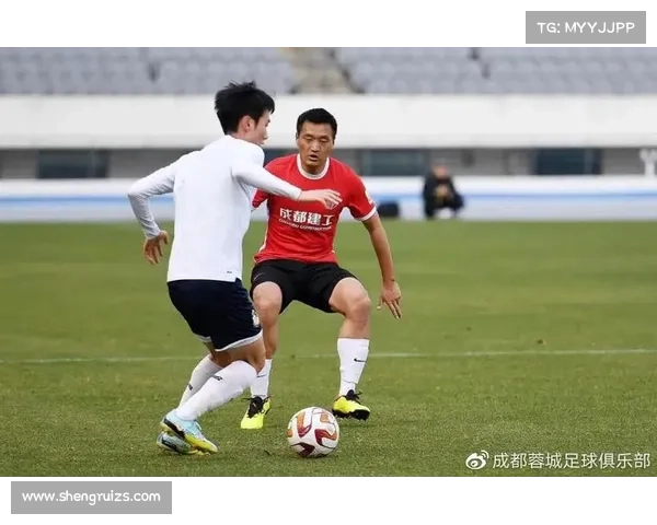 如何评估成都蓉城足球队边锋签约计划的潜力与风险