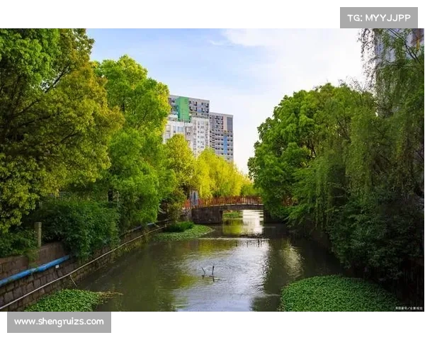 廖锦涛在大连英博的表现分析及其未来发展潜力探讨