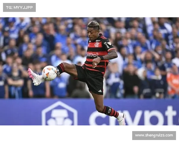 弗拉门戈在超级杯中的战术调整与表现分析 弗拉门戈在超级杯中的战术调整与表现分析