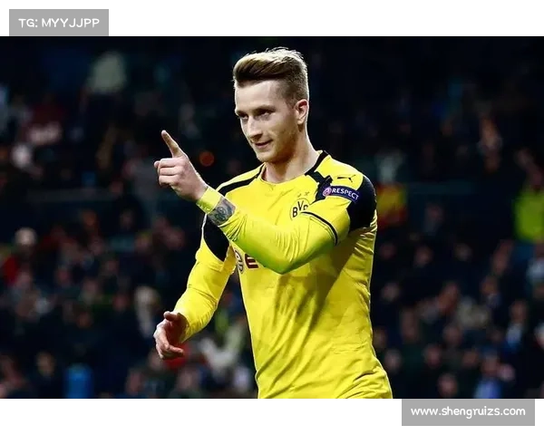 德甲赛场风云再起：拜仁之外的崛起势力与新王争霸之路